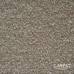 Carpet Shop Online Charm Modern Beige Twist Carpet 2.5M X 4M - thumbnail 2