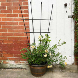 Garden Gear 1.2 Metre Fan Pot Trellis, Plastic Coated Steel Outdoor Decorative Plant Support, Weather Resistant (4) - thumbnail 1