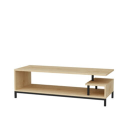 Decorotika Reilly Tv Stand Tv Unit For Tv's Up To 55 Inch Black And Oak
