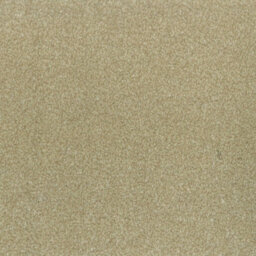 Cosmic Bleach Cleanable Twist Pile Carpet By Remland (Dorado, 1M X 4M) - thumbnail 1