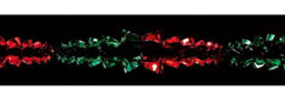 Premier Decorations Limited Foil Christmas Garland Ceiling Decoration Premier Green & Red Garland 2.7M - thumbnail 3