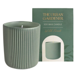 Portico Designs The Urban Gardener Wild Forest Scented Soy Candle In Reusable Ceramic Holder - thumbnail 4