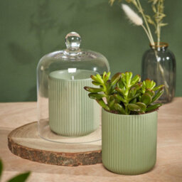 Portico Designs The Urban Gardener Wild Forest Scented Soy Candle In Reusable Ceramic Holder - thumbnail 2