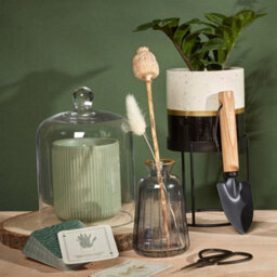 Portico Designs The Urban Gardener Wild Forest Scented Soy Candle In Reusable Ceramic Holder - thumbnail 3