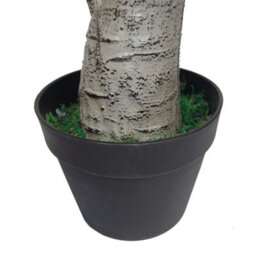 Leaf 75Cm Artificial Dracaena Plant - Wide Trunk Triple Branch - thumbnail 3