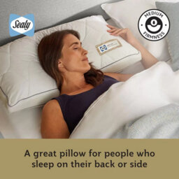 Sealy Memory Airflow Pillow Cooling Ventilated Memory Foam, Medium Firm Support, Hypoallergenic Cotton Cover For Back - thumbnail 4