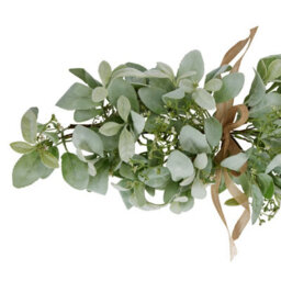 Winter  Spray  Arrangement  With  Lambs  Ear  And  Wax  Flower - thumbnail 2