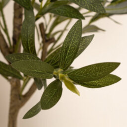 Scottish Everlastings Ltd. Scottish Everlastings Artificial 120Cm Olive Tree - thumbnail 2