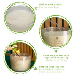 Nicola Spring 3X Green Pomelo & Passion Fruit Scented Candles 350G 38H Natural Double Soy Wax Aromatherapy Candle Home Fragrance - thumbnail 2