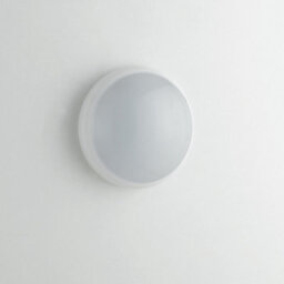 Luminosa Lighting Luminosa Eterna Emergency Led Outdoor Flush White, Ip65 120-900Lm 4000K 23.5X10Cm - thumbnail 2