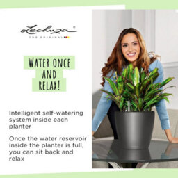 (Dia) 43Cm Plant Pot, Cream White Plastic Lechuza Classico Self-Watering Planter With Drain Plug And Water Level Indicator - thumbnail 6