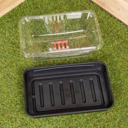 Samuel Alexander 2 X 38Cm Unheated Seed Starter Trays Grostart Midi Propagators Indoor Seedling Planters - thumbnail 3