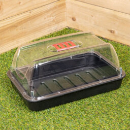 Samuel Alexander 2 X 38Cm Unheated Seed Starter Trays Grostart Midi Propagators Indoor Seedling Planters - thumbnail 2