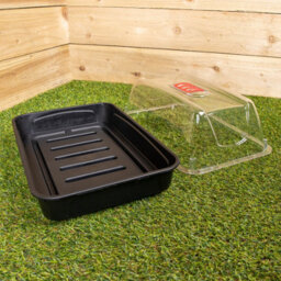 Samuel Alexander 2 X 38Cm Unheated Seed Starter Trays Grostart Midi Propagators Indoor Seedling Planters - thumbnail 5
