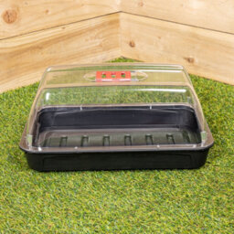 Samuel Alexander 2 X 38Cm Unheated Seed Starter Trays Grostart Midi Propagators Indoor Seedling Planters - thumbnail 4