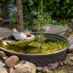 Marshalls Garden Anglo Eastern Corinthian Instant Plant Pond Bowl Black And Gold Frost-Proof Water Feature - thumbnail 6