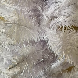Samuel Alexander 7Ft (210Cm) White Pencil Pine Christmas Tree With 401 Tips - thumbnail 2
