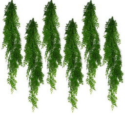 Leaf 6 X 100Cm Hanging  Pearls Fern Plant Light Green - thumbnail 1