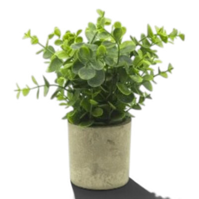 Heaven Sends Best Teacher Faux Eucalyptus Plant Pot, 23.5 X 7.5 Cm, Indoor Decorative Artificial Plant Gift