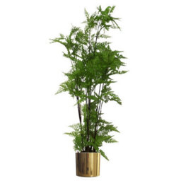 Leaf 150Cm Artificial Natural Extra Large Fern Foliage Plant With Gold Metal Planter