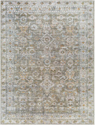 Livabliss Becki Owens Darling-Washable Brown Green Traditional Vintage Boho Living Dining Rug 200 X 275 Cm Easy Care, Non Shedding - thumbnail 1