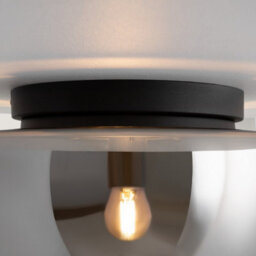 Luminosa Lighting Luminosa Glassy Modern Globe Ceiling Light Black 1Xe27 Smoky Shade - thumbnail 5