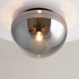 Luminosa Lighting Luminosa Glassy Modern Globe Ceiling Light Black 1Xe27 Smoky Shade - thumbnail 4
