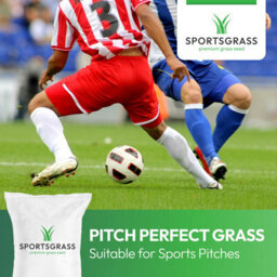 Lawns Direct™ Sportsgrass™ 5Kg Professional Durable Hardwearing Grass Seed For Sports Pitches Football Rugby Tennis Covers 200M2 - thumbnail 3