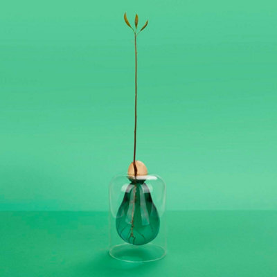 CKB Ltd Decorative Avocado Shaped Green Glass Cultivator Seed Growing Flower Vase - image 1