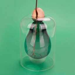 CKB Ltd Decorative Avocado Shaped Green Glass Cultivator Seed Growing Flower Vase - thumbnail 3