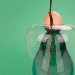 CKB Ltd Decorative Avocado Shaped Green Glass Cultivator Seed Growing Flower Vase - thumbnail 2