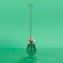 CKB Ltd Decorative Avocado Shaped Green Glass Cultivator Seed Growing Flower Vase - thumbnail 1