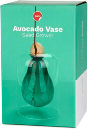 CKB Ltd Decorative Avocado Shaped Green Glass Cultivator Seed Growing Flower Vase - thumbnail 6