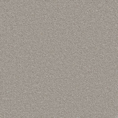 Furlong Flooring Carefree Twist Carpet (Husky, 3M X 4M)