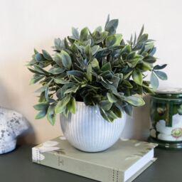 Candlelight Green & Cream 26Cm Fern Artificial Plant In Cream Ceramic Ribbed Pot - thumbnail 2
