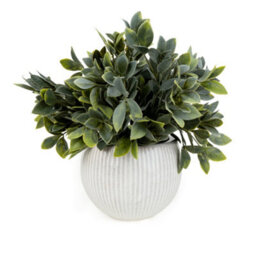 Candlelight Green & Cream 26Cm Fern Artificial Plant In Cream Ceramic Ribbed Pot
