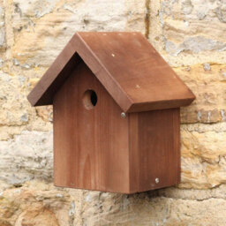 Buttercup Farm Apex Bird Box With 25mm Hole - European Redwood - L16.5 X W20 X H23.5 Cm - thumbnail 4