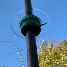 Selections Squirrel Proof Baffle Protection For Wild Bird Feeders (Set Of 2) - thumbnail 6
