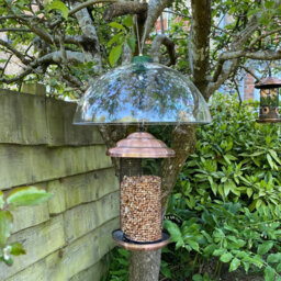 Selections Squirrel Proof Baffle Protection For Wild Bird Feeders (Set Of 2) - thumbnail 4