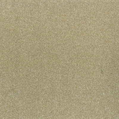 Cosmic Bleach Cleanable Twist Pile Carpet By Remland (Dorado, 2M X 5M) - image 1