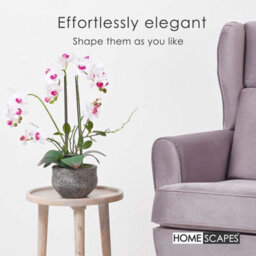 Homescapes Artificial White Handcrafted Extra Large Orchid Phalaenopsis In Cement Pot, 5 Stems, 52 Cm - thumbnail 6