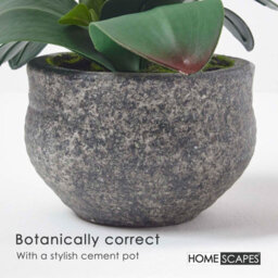 Homescapes Artificial White Handcrafted Extra Large Orchid Phalaenopsis In Cement Pot, 5 Stems, 52 Cm - thumbnail 4