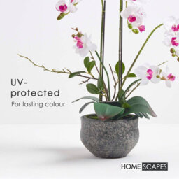 Homescapes Artificial White Handcrafted Extra Large Orchid Phalaenopsis In Cement Pot, 5 Stems, 52 Cm - thumbnail 5