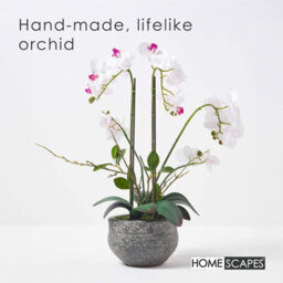 Homescapes Artificial White Handcrafted Extra Large Orchid Phalaenopsis In Cement Pot, 5 Stems, 52 Cm - thumbnail 2