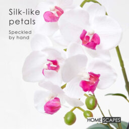 Homescapes Artificial White Handcrafted Extra Large Orchid Phalaenopsis In Cement Pot, 5 Stems, 52 Cm - thumbnail 3