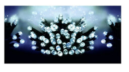 Premier Decorations Limited 50 Battery Operated Led Timelights White Multi-Action - thumbnail 2