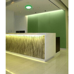 Long Life Lamps Company 12W Recessed Ceiling Led Round Ring Panel Green - thumbnail 8