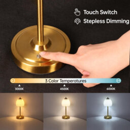 Flintry Tulip Table Lamp Battery & Touch Control, Cordless Table Lamp For Bedroom, Nightstand, Living Room, Entryways (White Tulip) - thumbnail 4