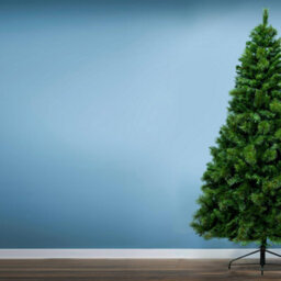 Christmas Tree World The 7Ft/210Cm Majestic Dew Pine Christmas Tree With Bag - thumbnail 4