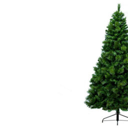 Christmas Tree World The 7Ft/210Cm Majestic Dew Pine Christmas Tree With Bag - thumbnail 5